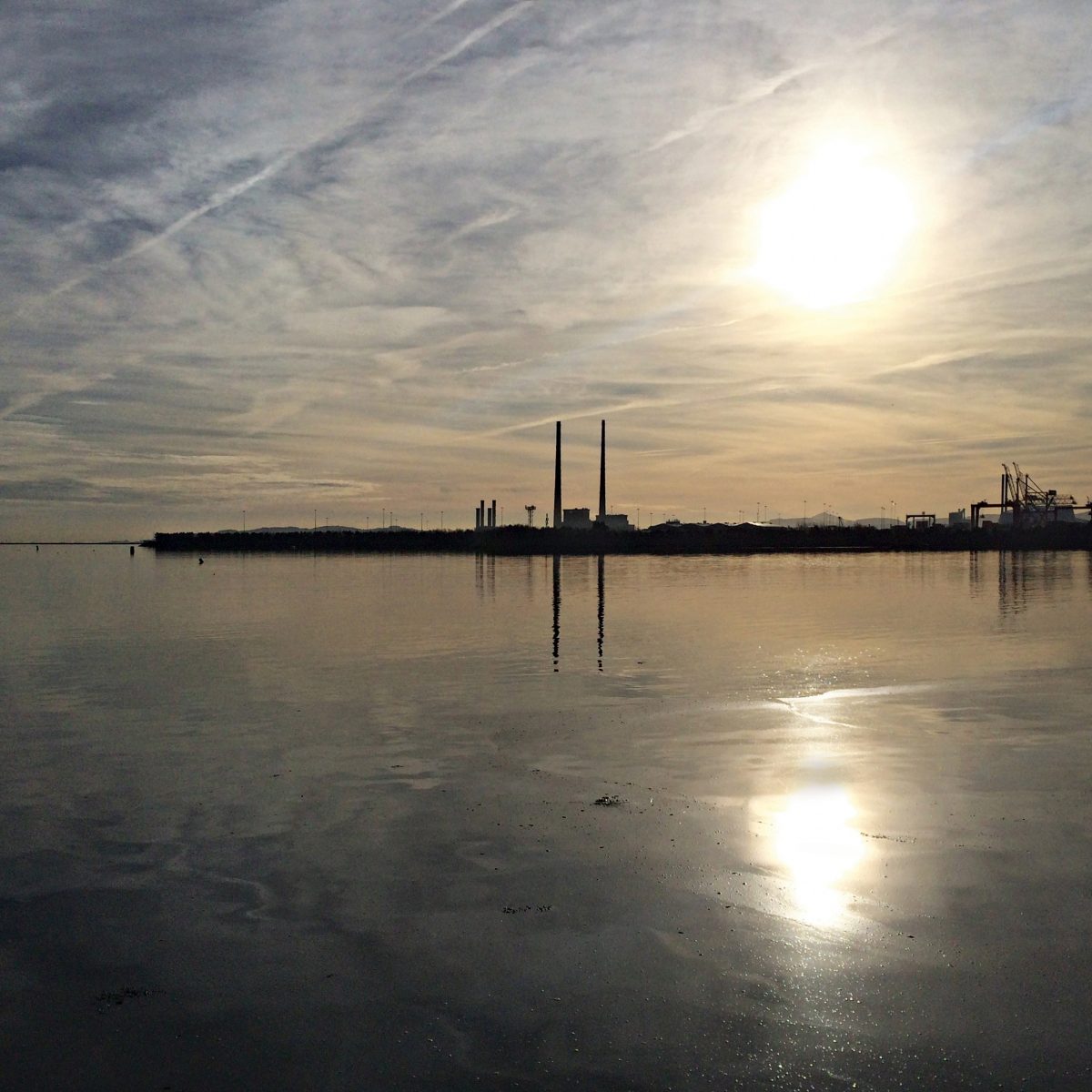 January Morning