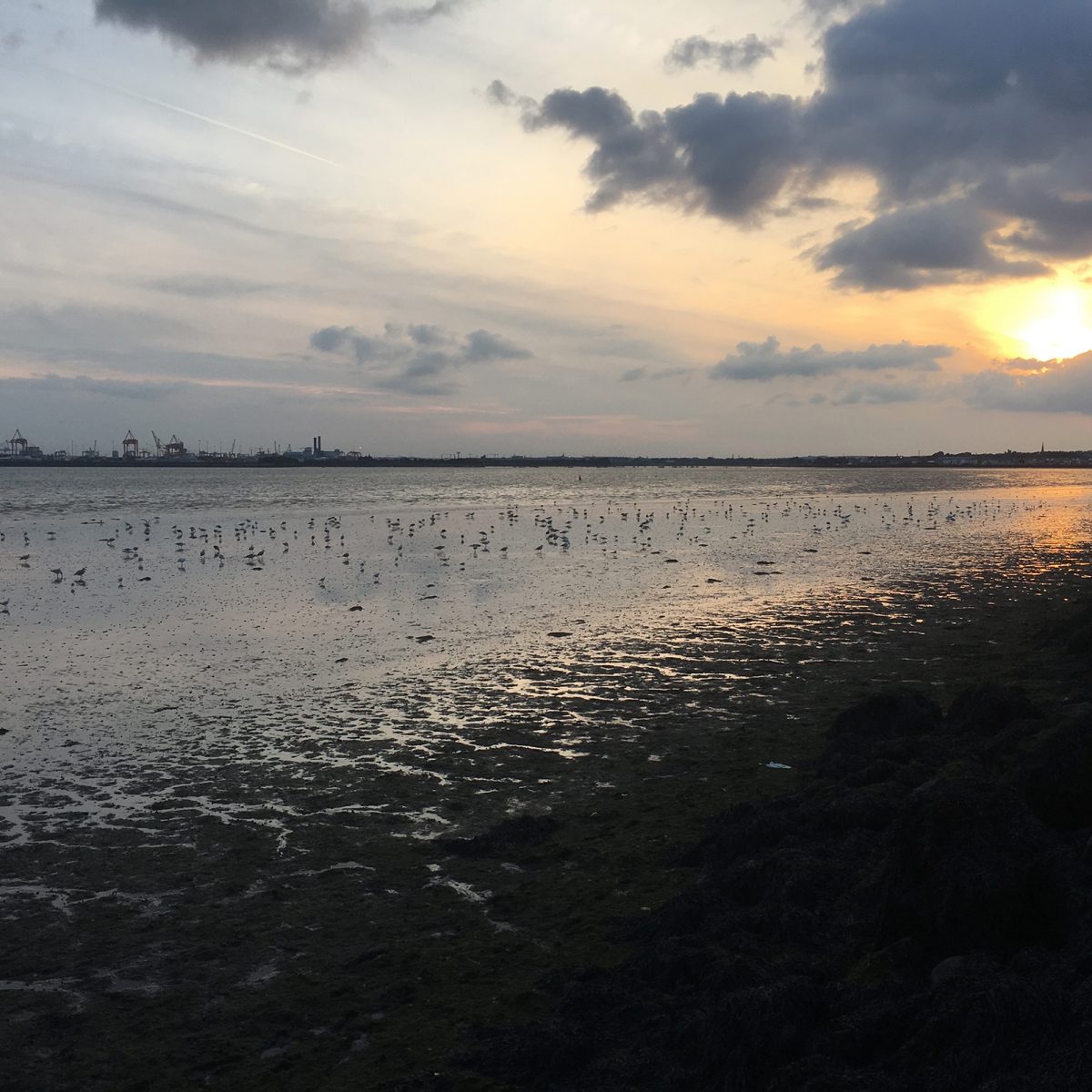 Low tide